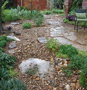 Rain Gardens for North Texas - Dubberley Landscape - Plano, Texas